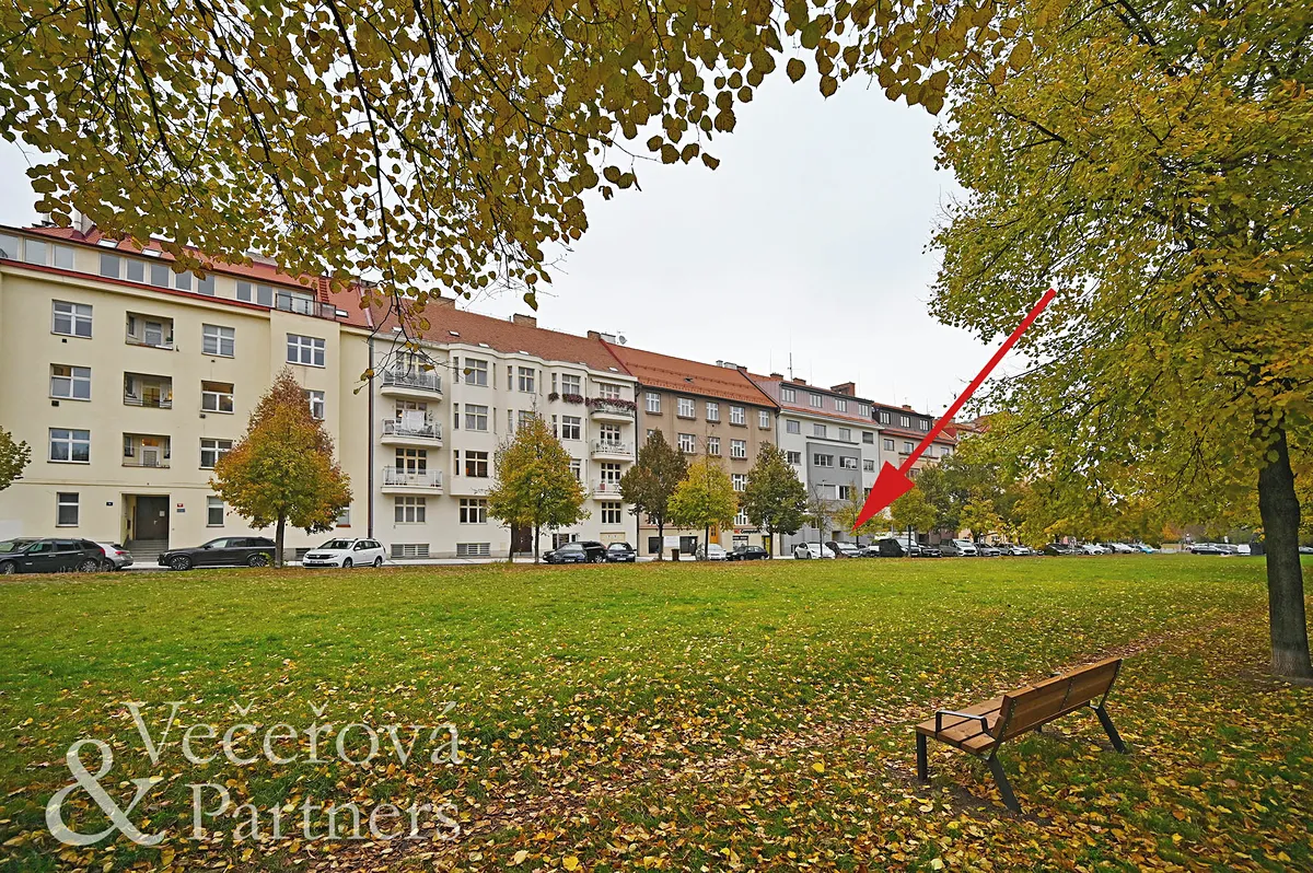 Fotka 19 z 19